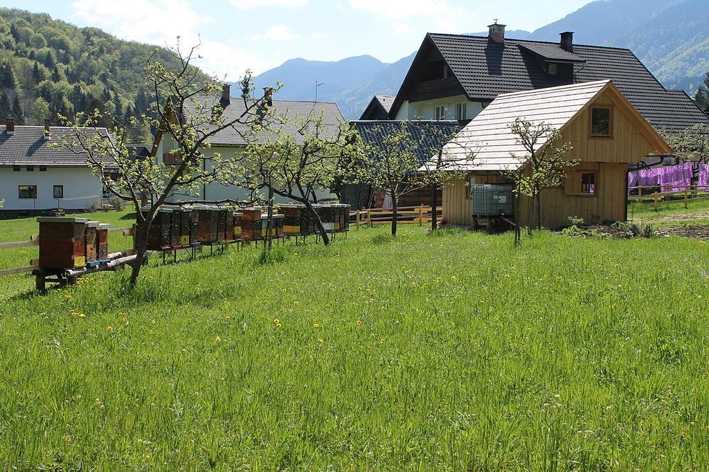 Apartments And Rooms Cerkovnik Bohinj Exterior photo