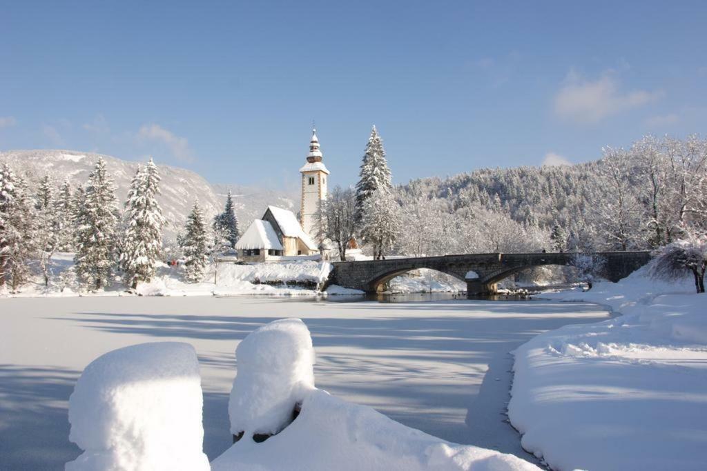 Apartments And Rooms Cerkovnik Bohinj Exterior photo